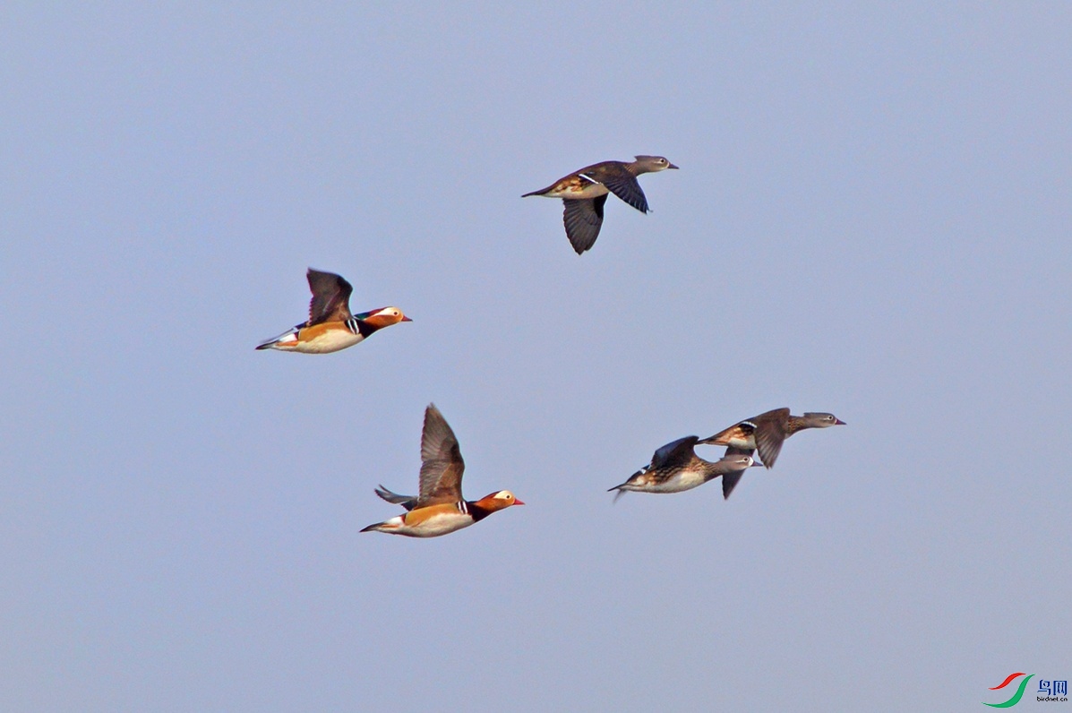 DSC_0047.jpg