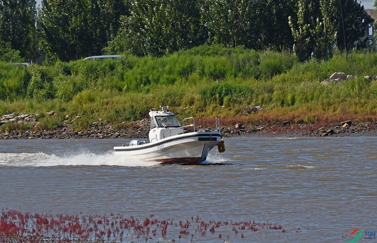 DSC_5081.jpg
