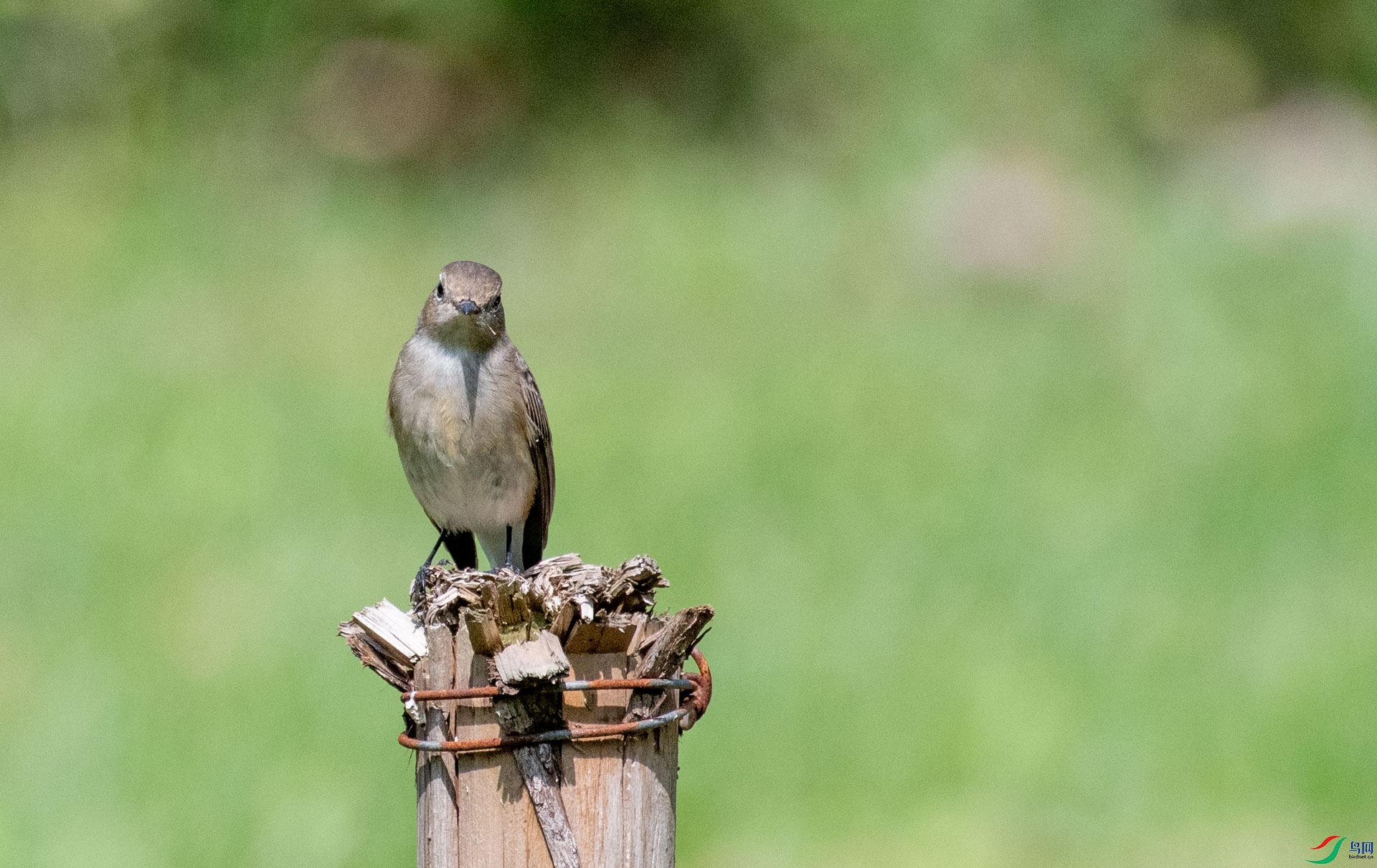 DSC_7251.jpg