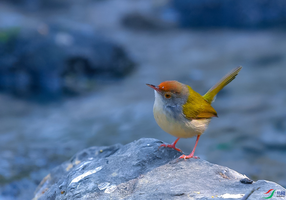 DSC_6465.JPG