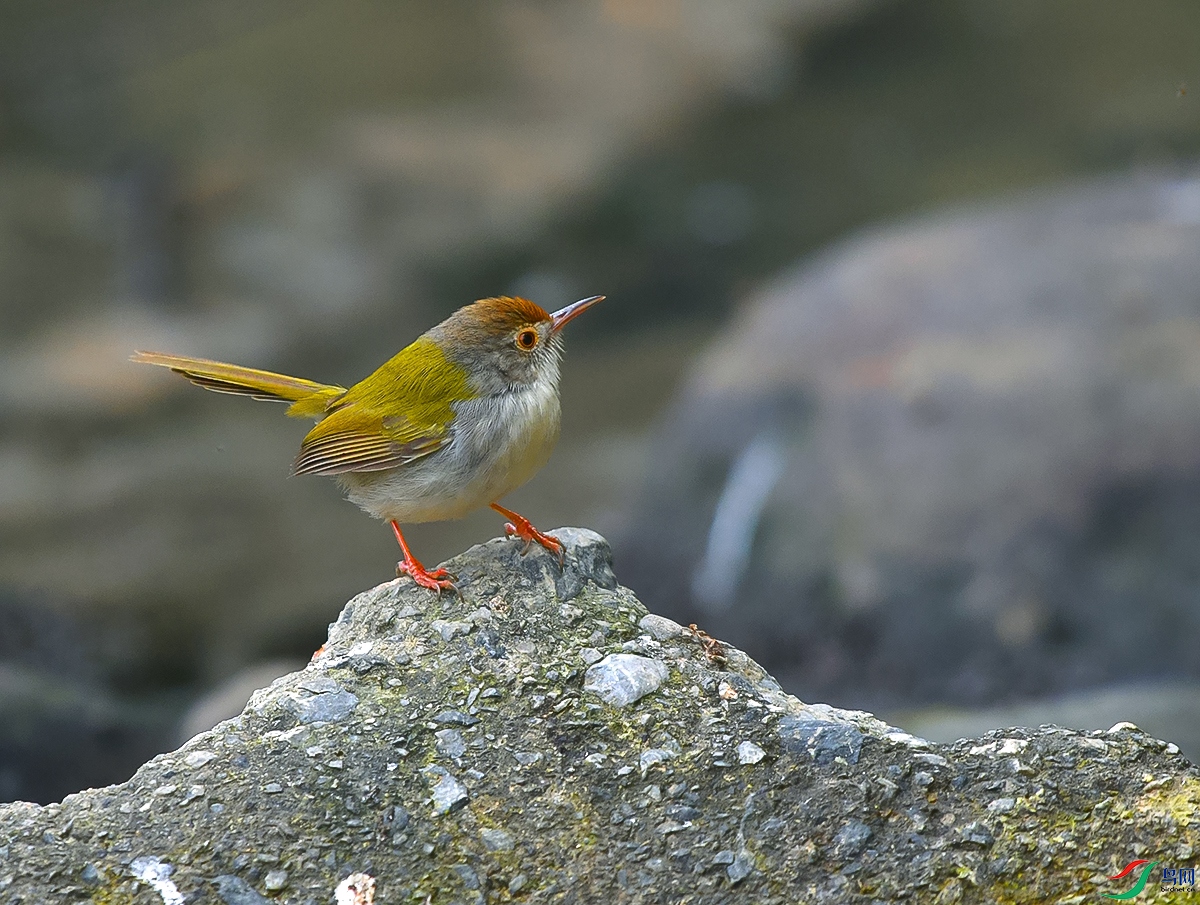 DSC_4688.JPG