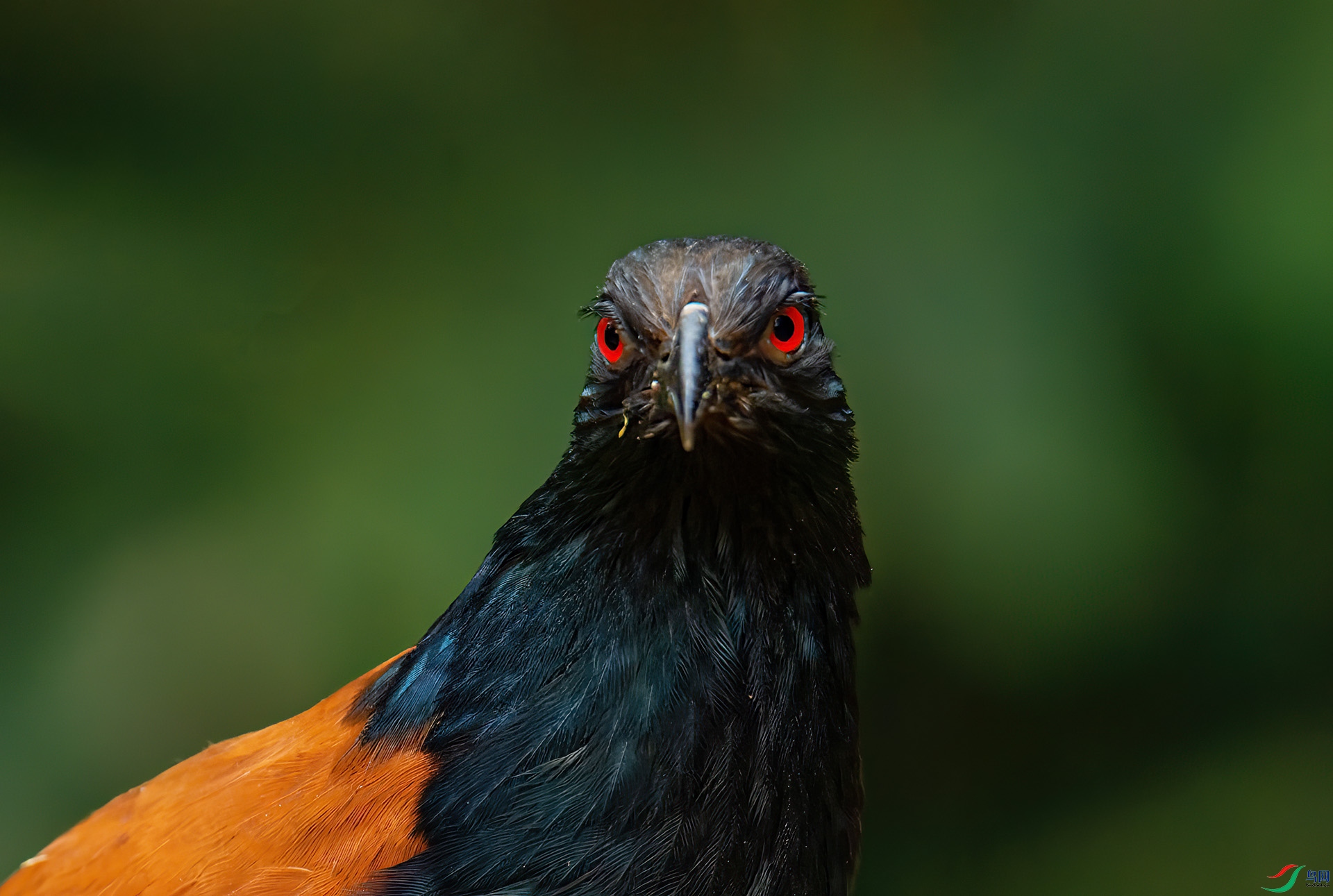 DSC_1811-1.jpg