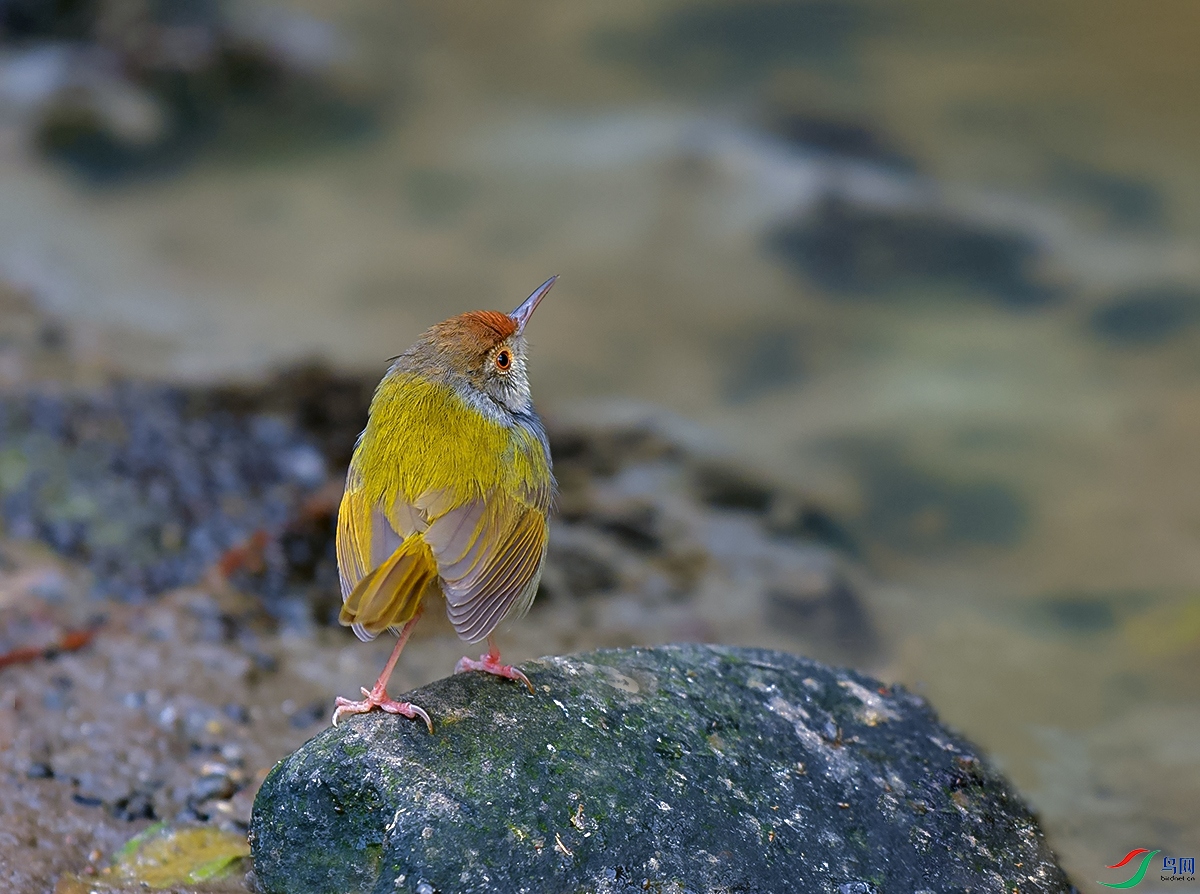 DSC_8729.JPG