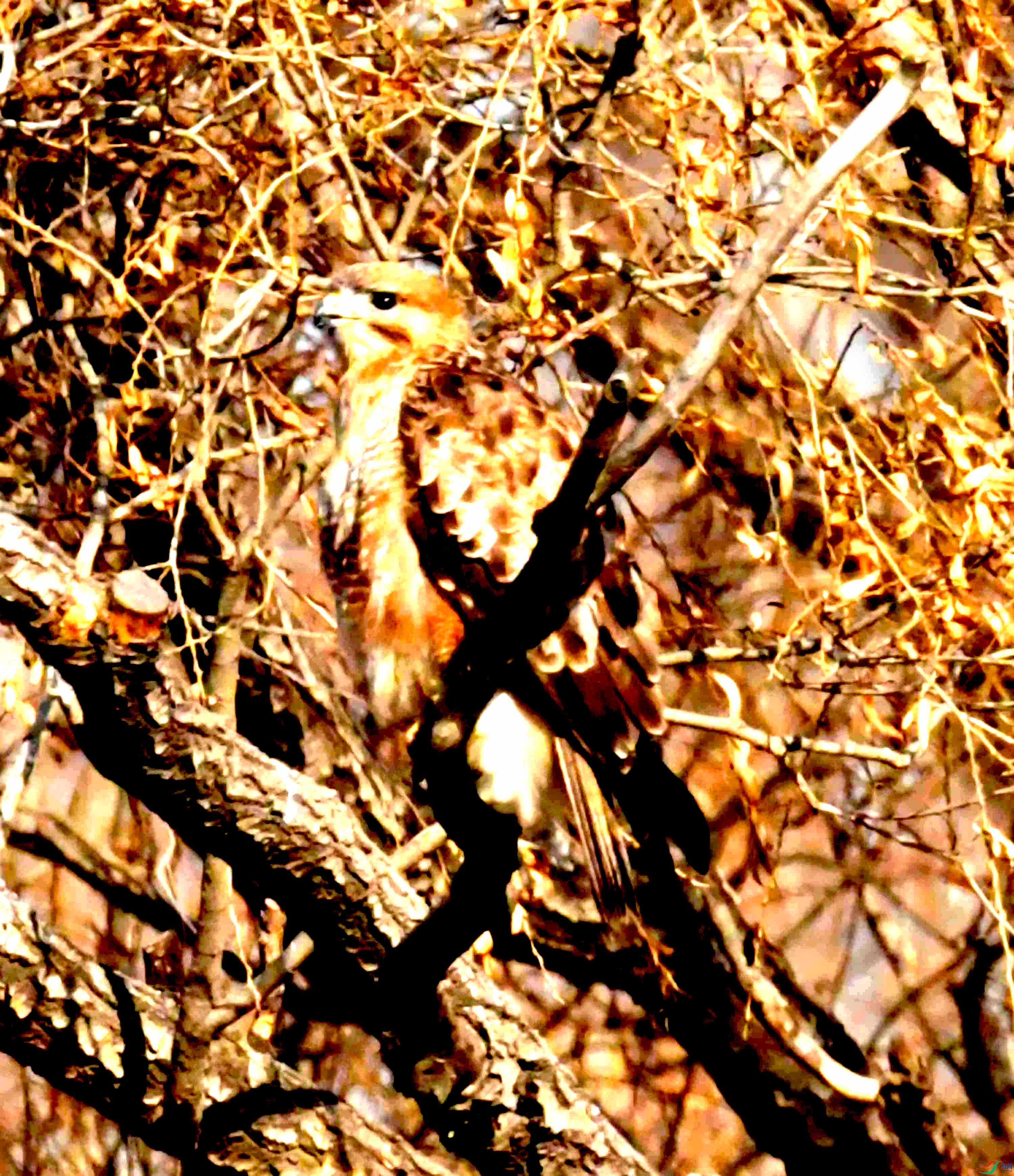 DSC_1561.JPG