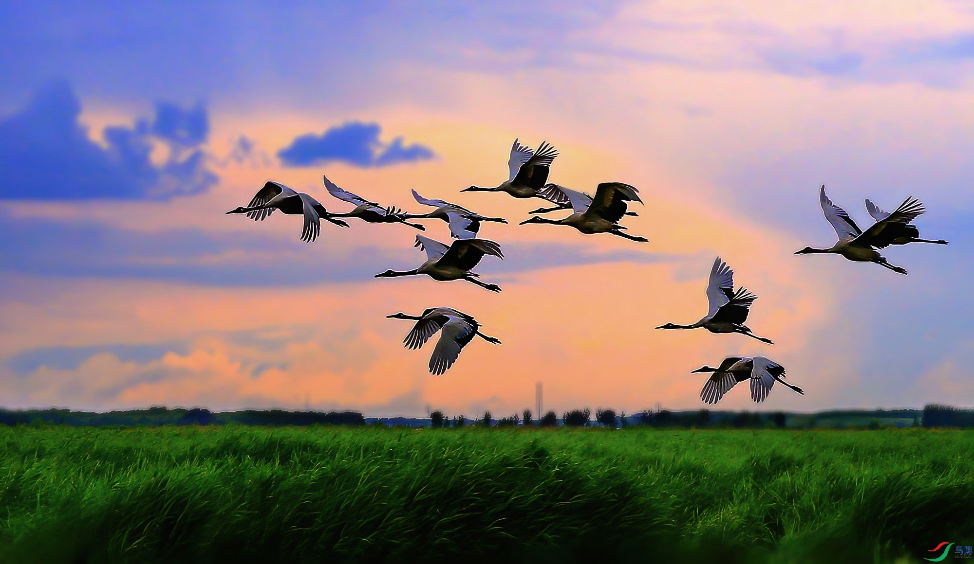 ��ϼӳ����---111 -DeNoiseAI-denoise.jpg