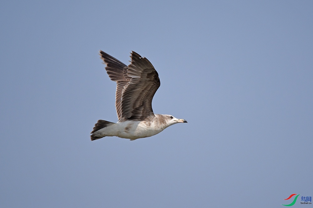 DSC_2534.jpg