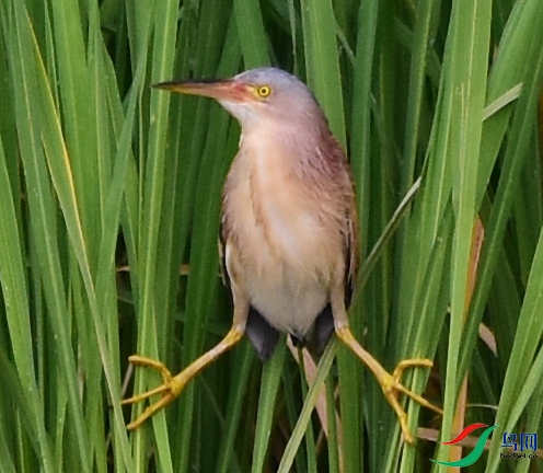 DSC_0339.jpg