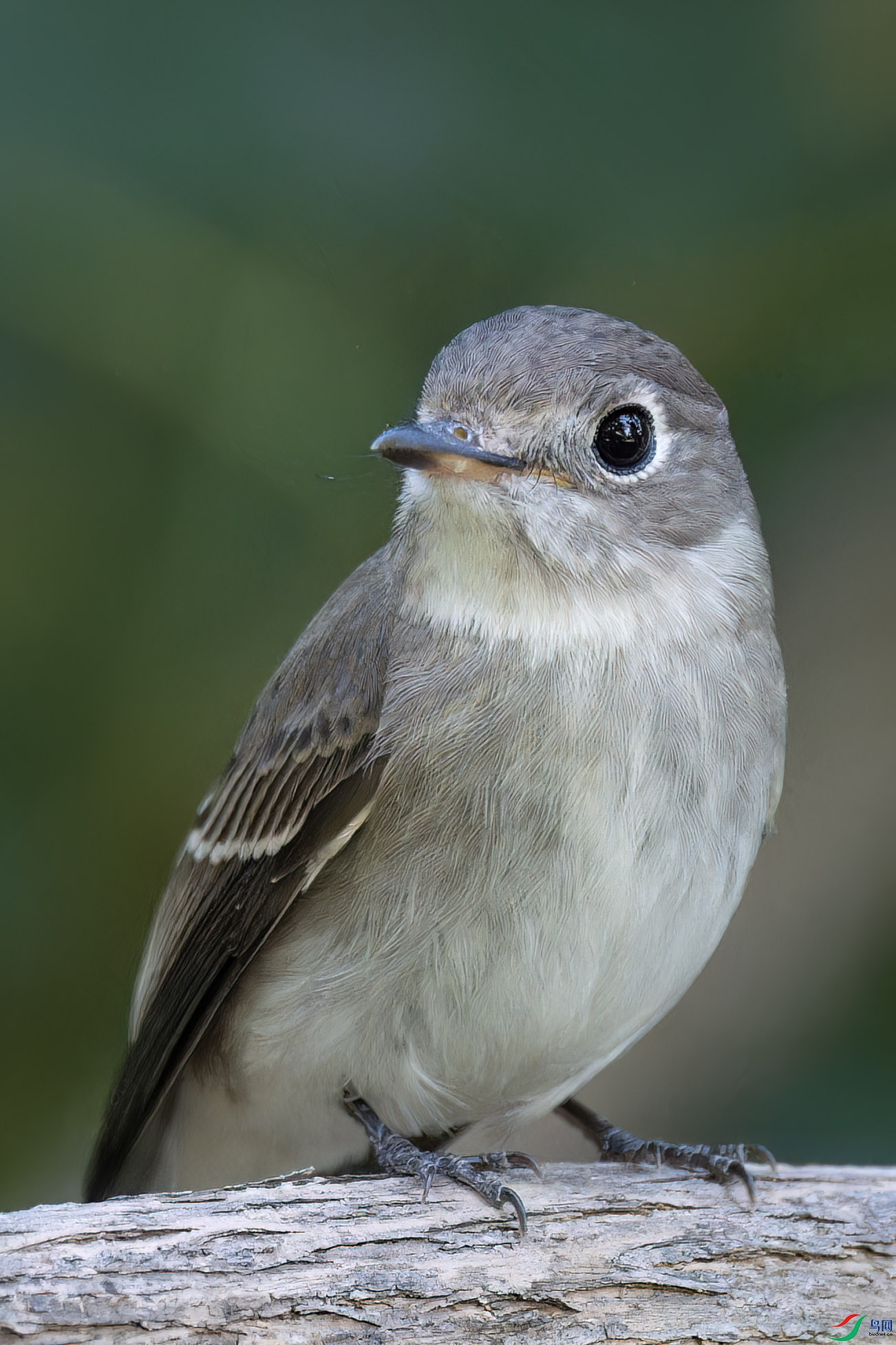 DSC_8564_DxO ����.jpg