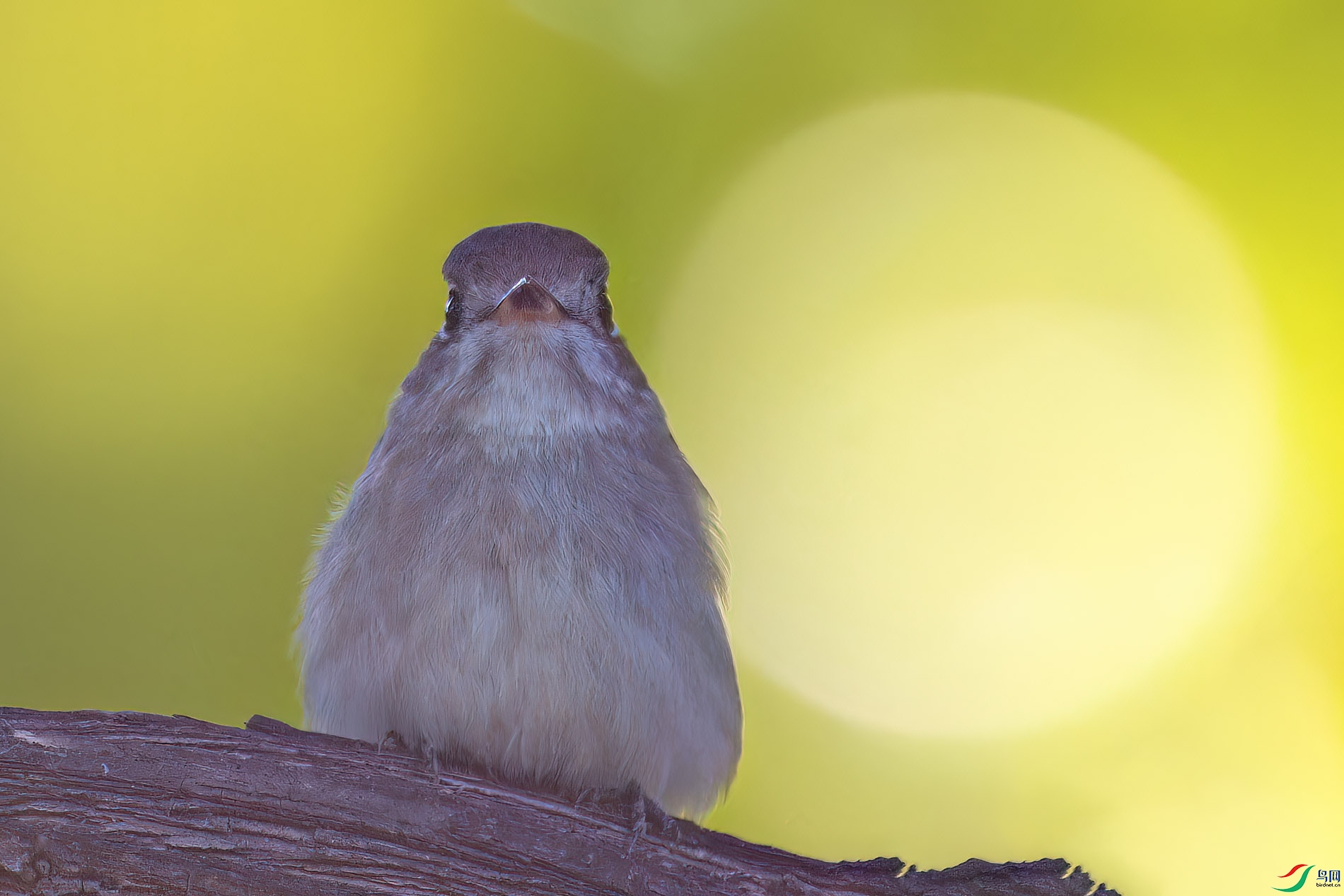 DSC_8597_DxO ����.jpg