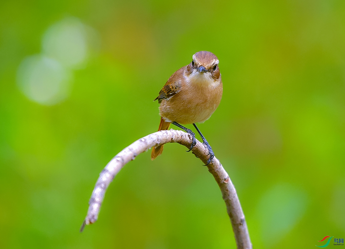 DSC_8632.JPG