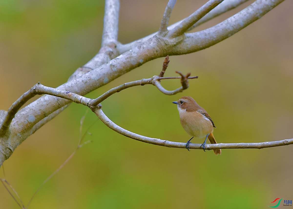DSC_8627.JPG