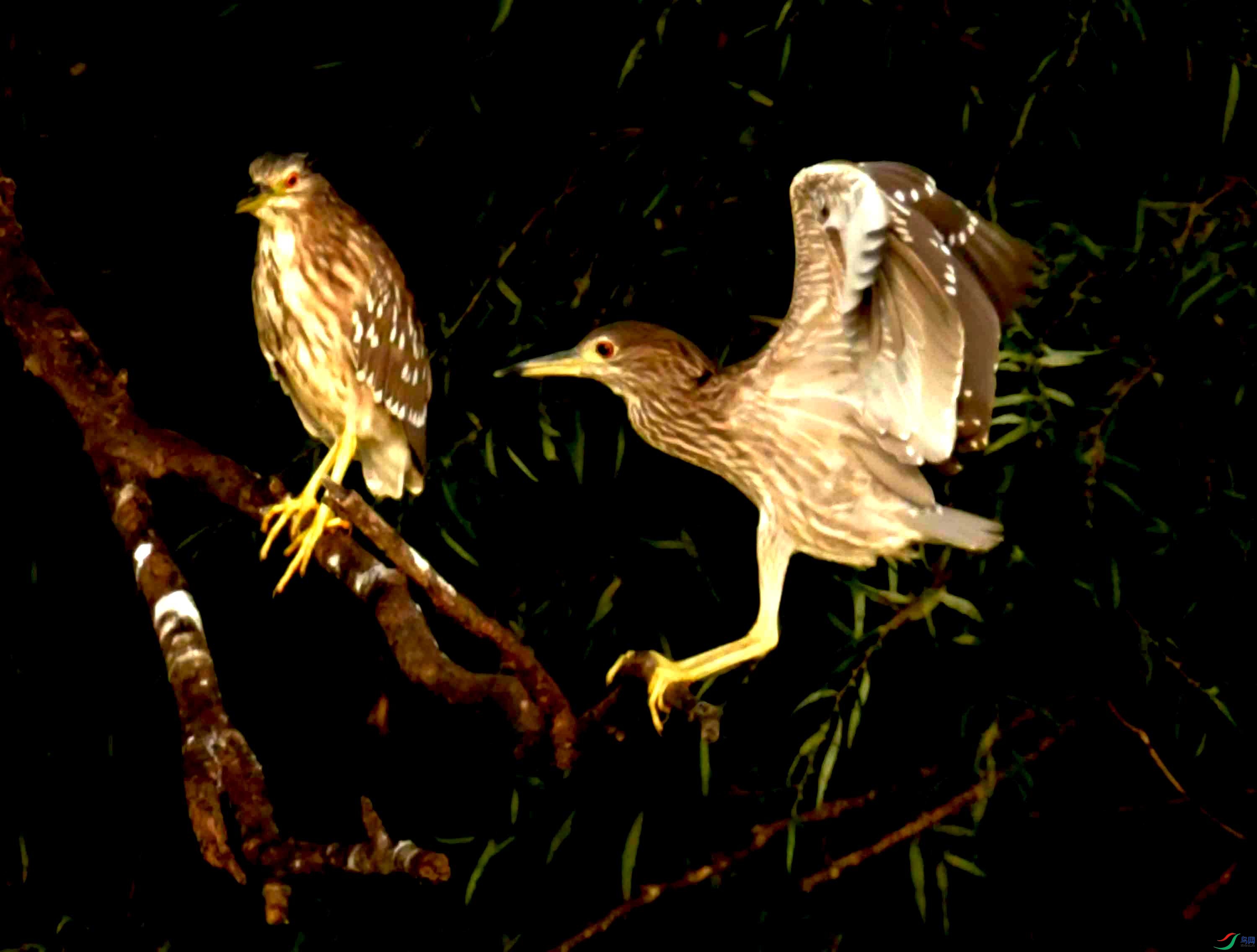 DSC_3318.JPG