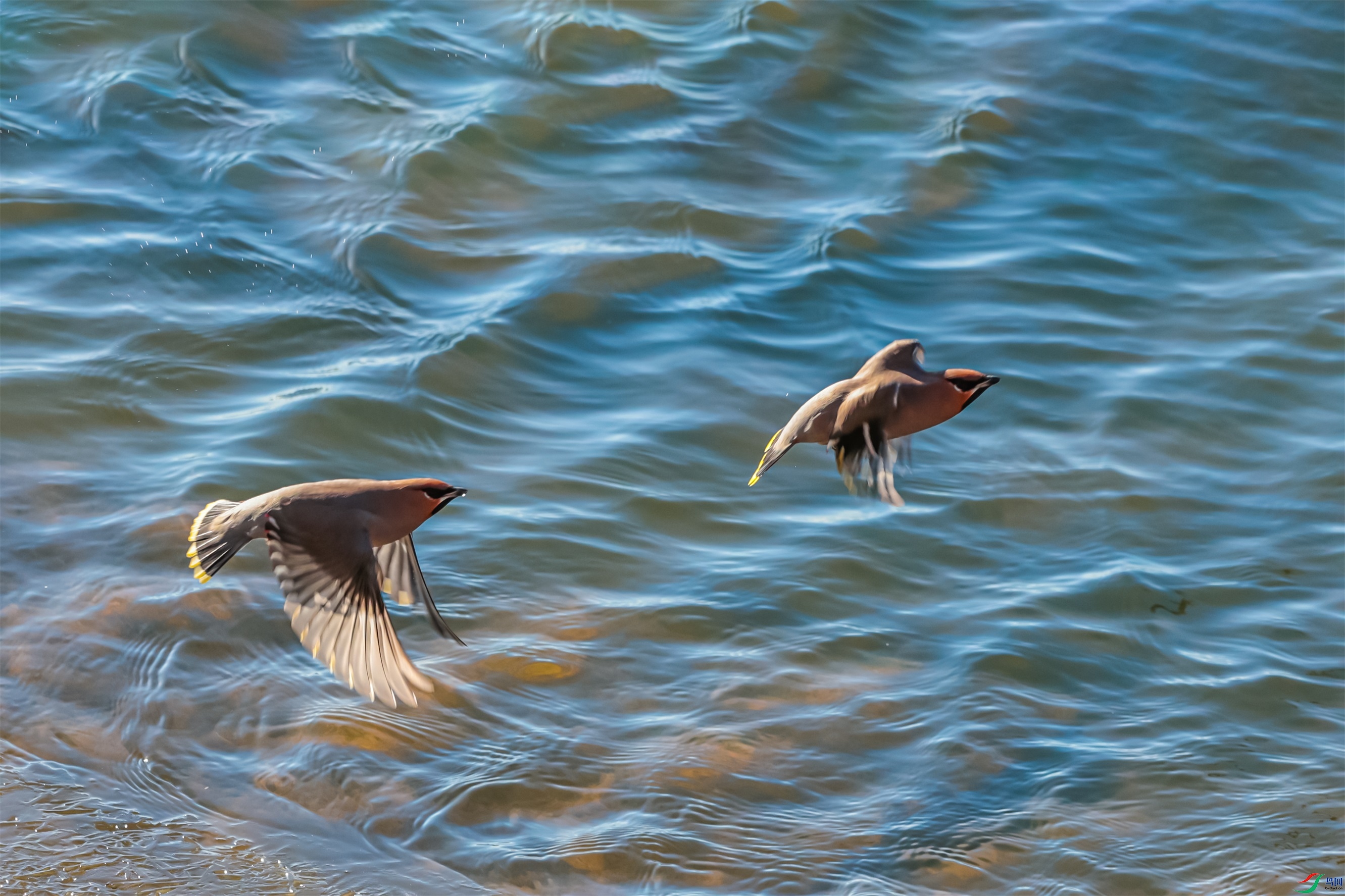 1K3A5588 ����1.jpg