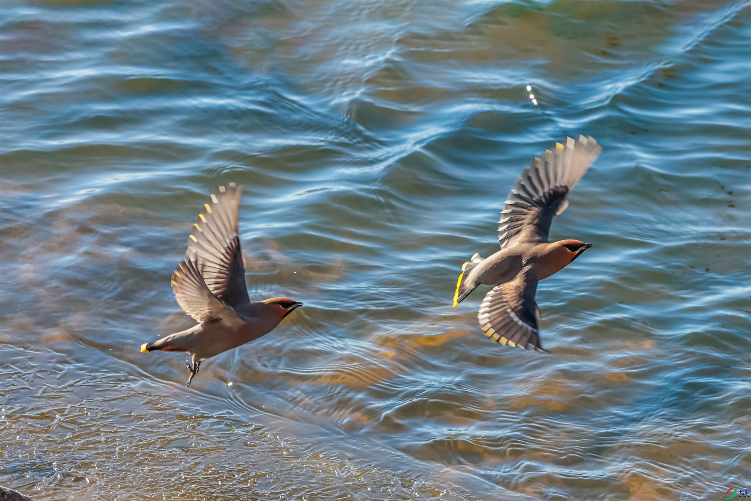 1K3A5587 ����1.jpg