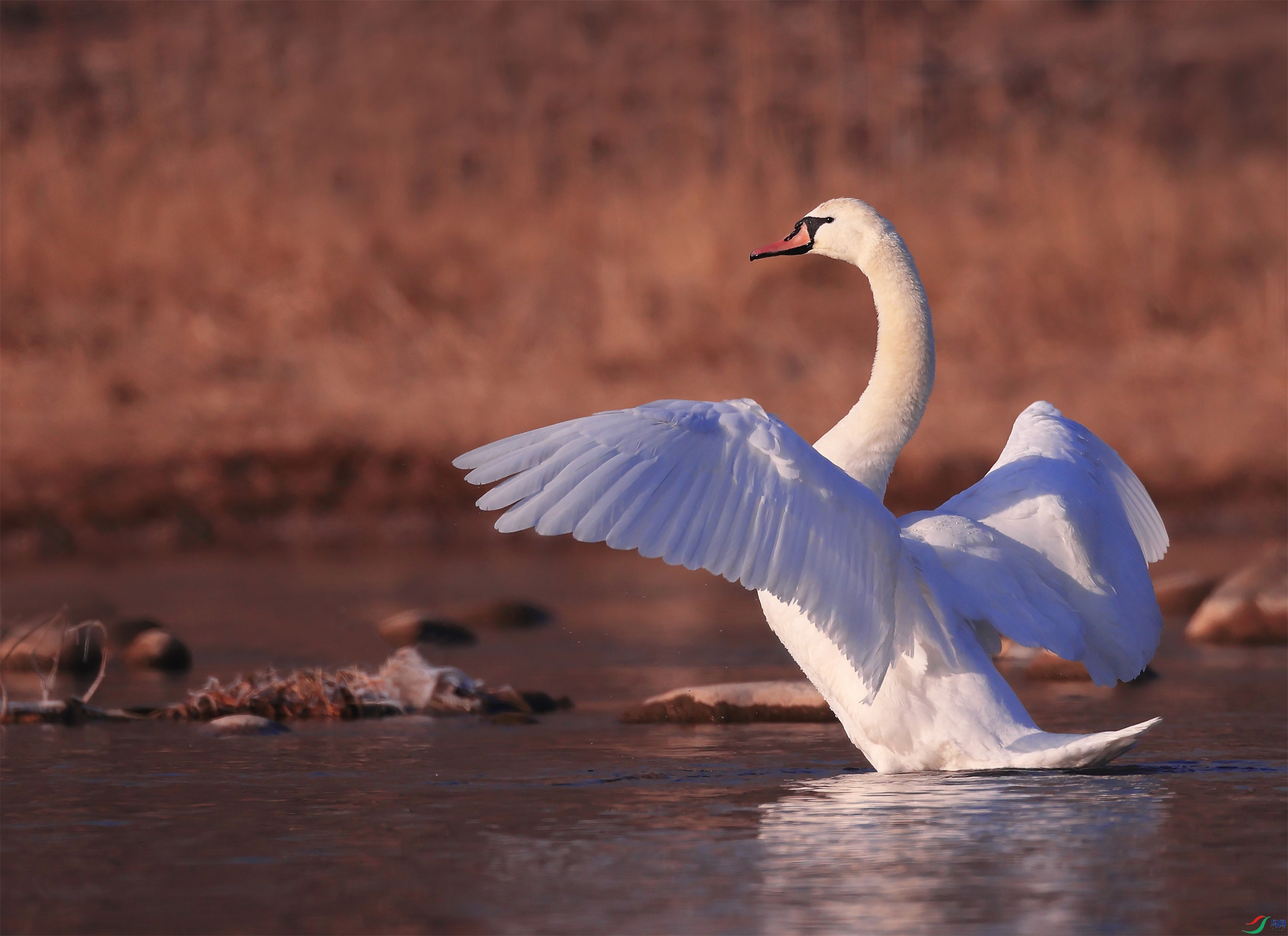 3 - ���� (2).JPG