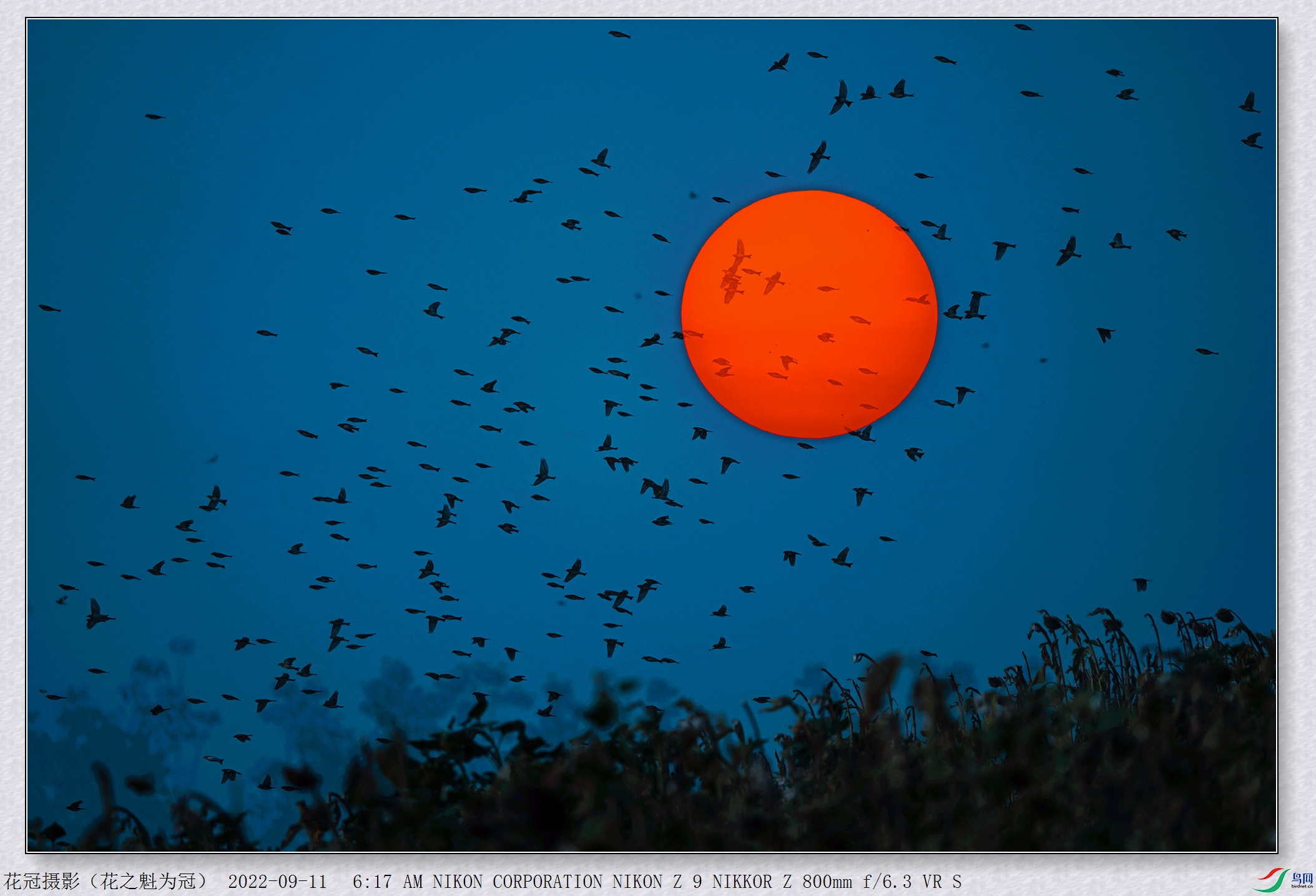 DSC_4571�ϳɶ����ع�B-1_����.jpg