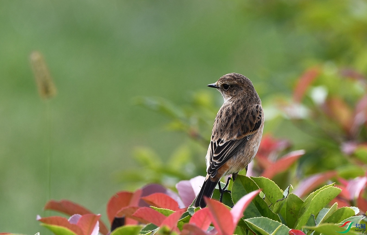 DSC_8389.JPG