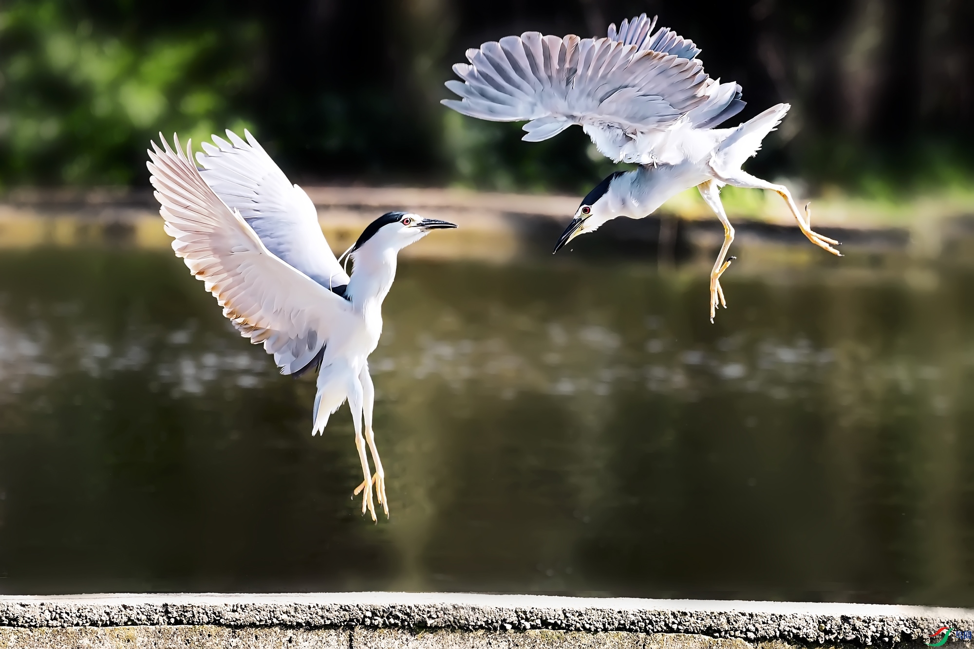 DSC_8661.jpg