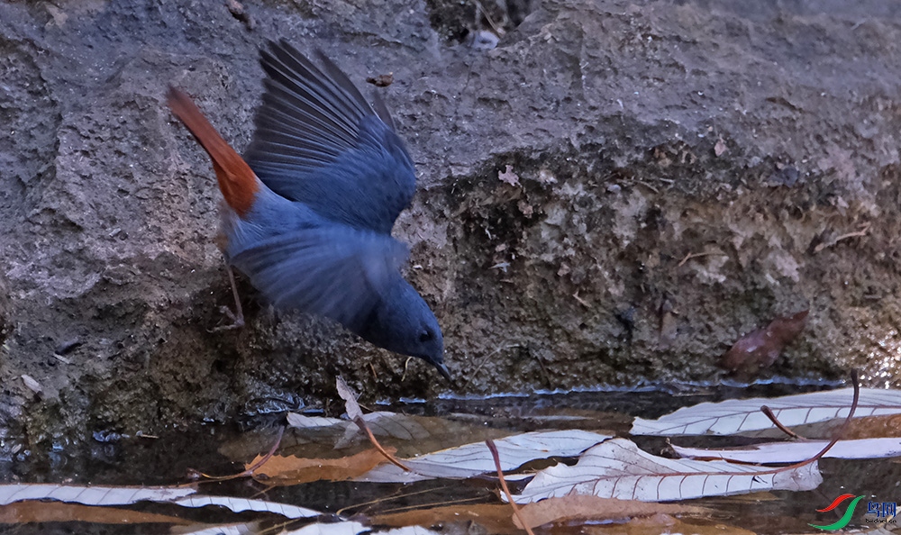 DSCF9786.1.jpg
