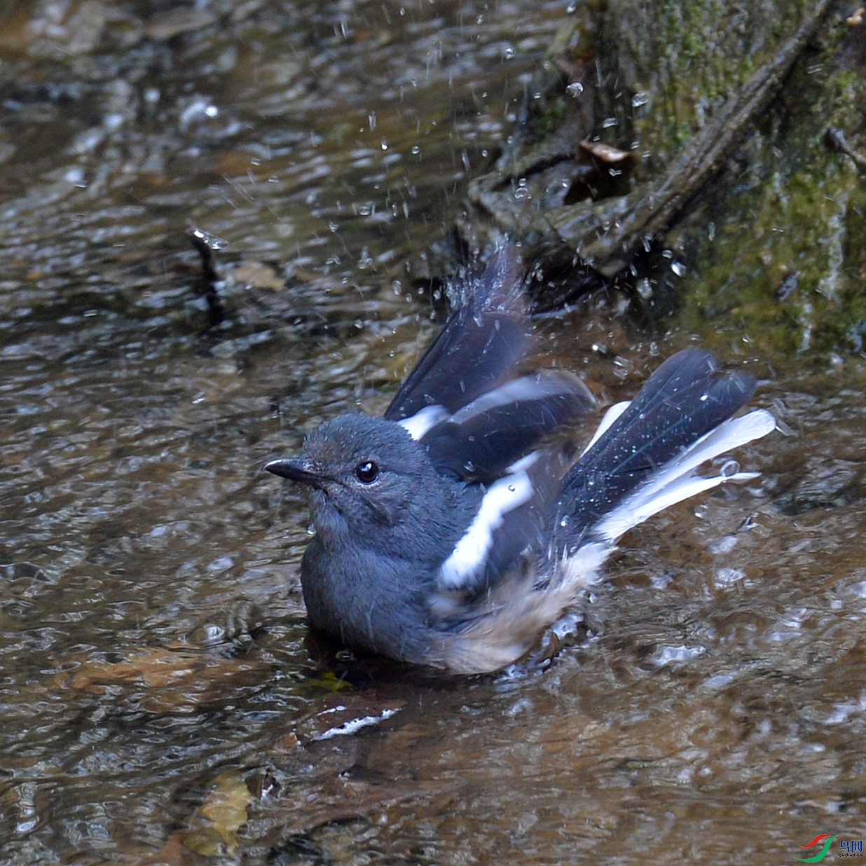 DSC_4890.jpg