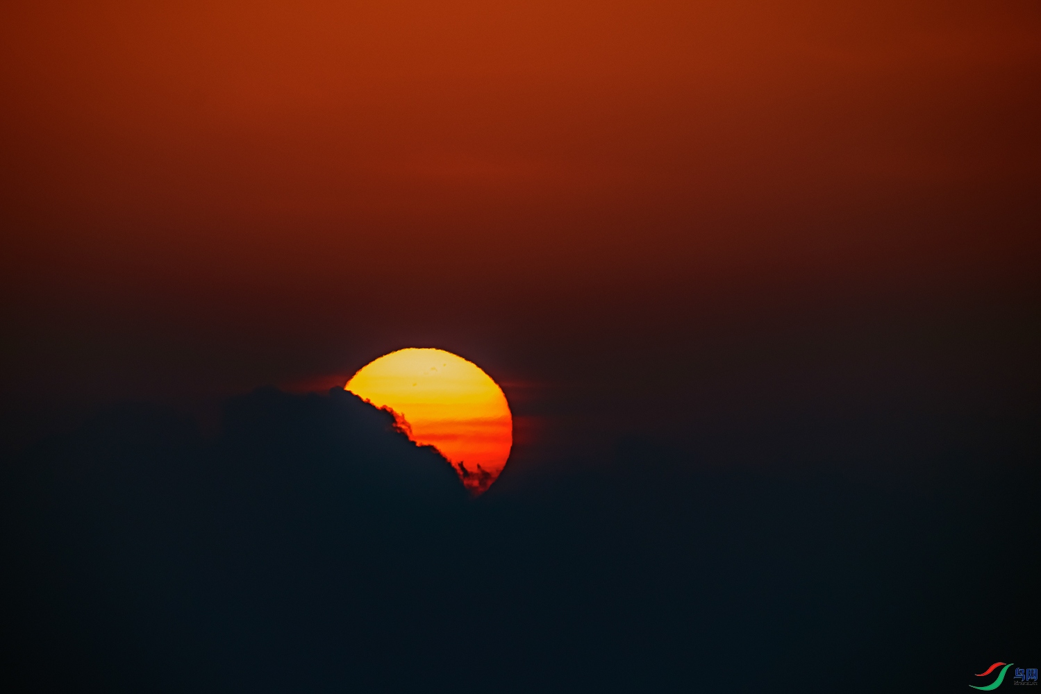 _5LM3638_2.jpg