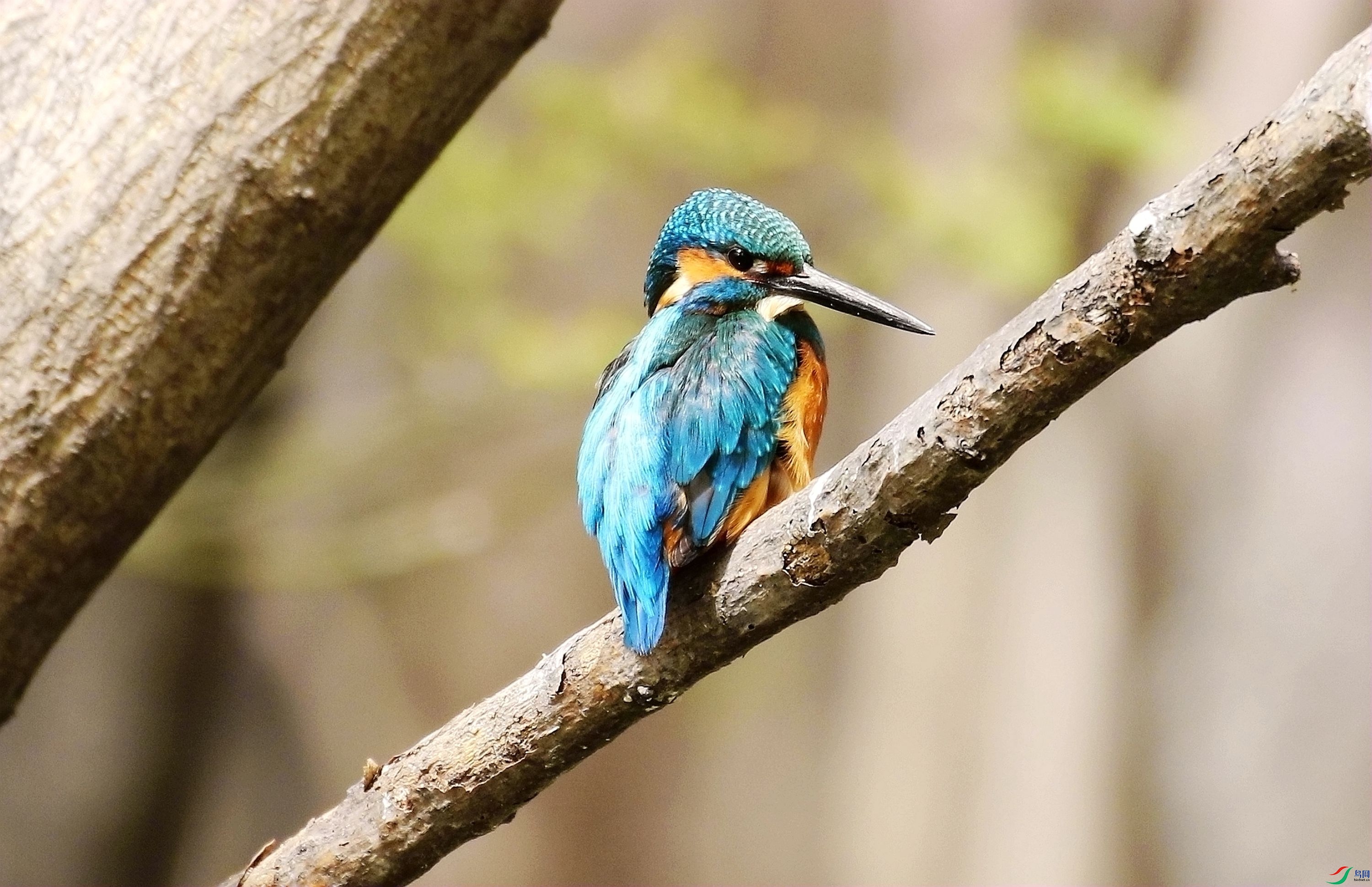 ˼��1U4A8464_����.jpg