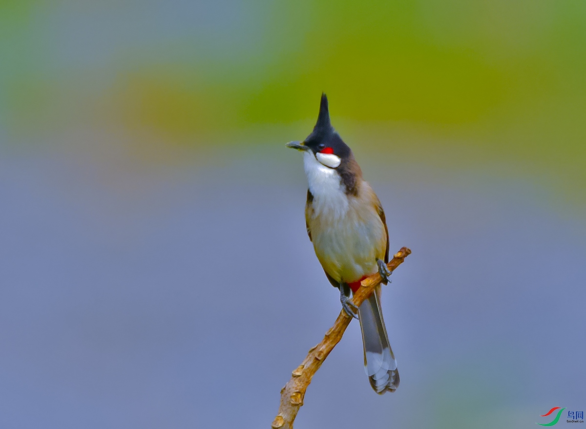 DSC_8614.JPG
