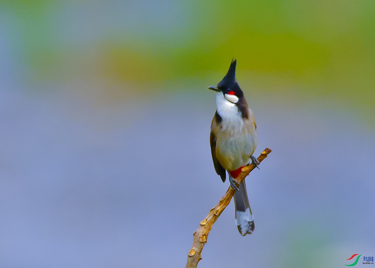DSC_8621.JPG