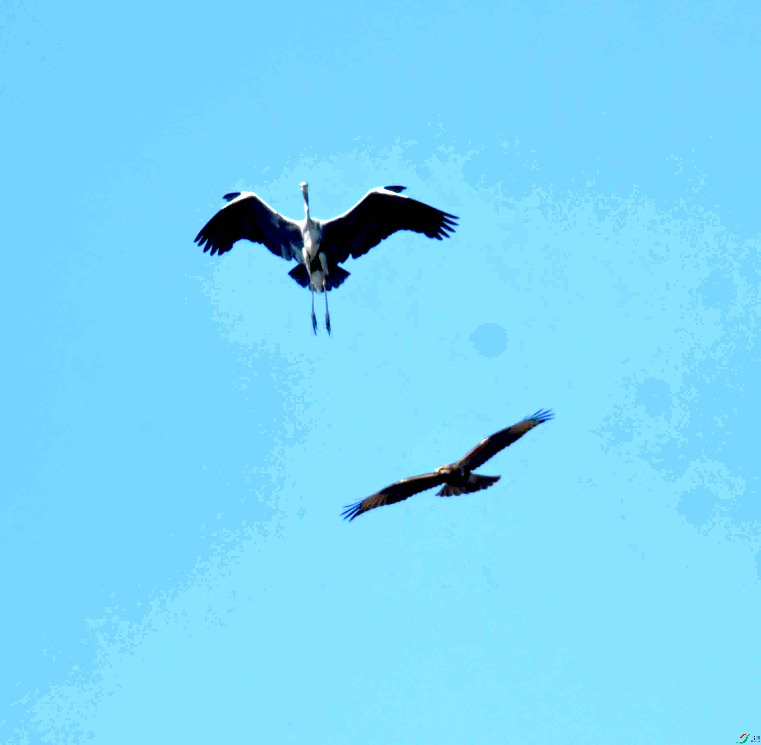 DSC_0711.JPG