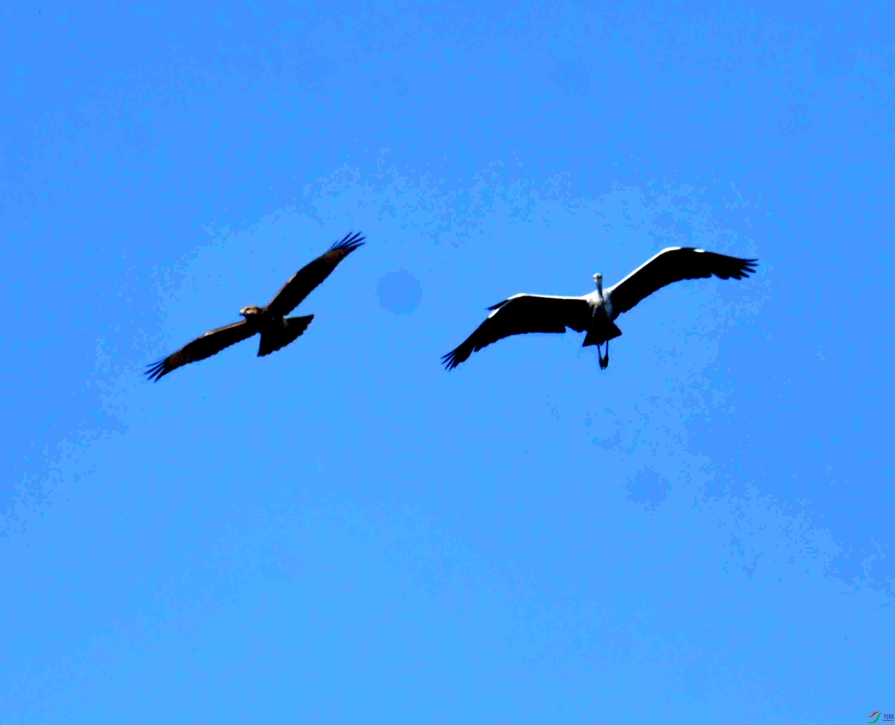 DSC_0735.JPG