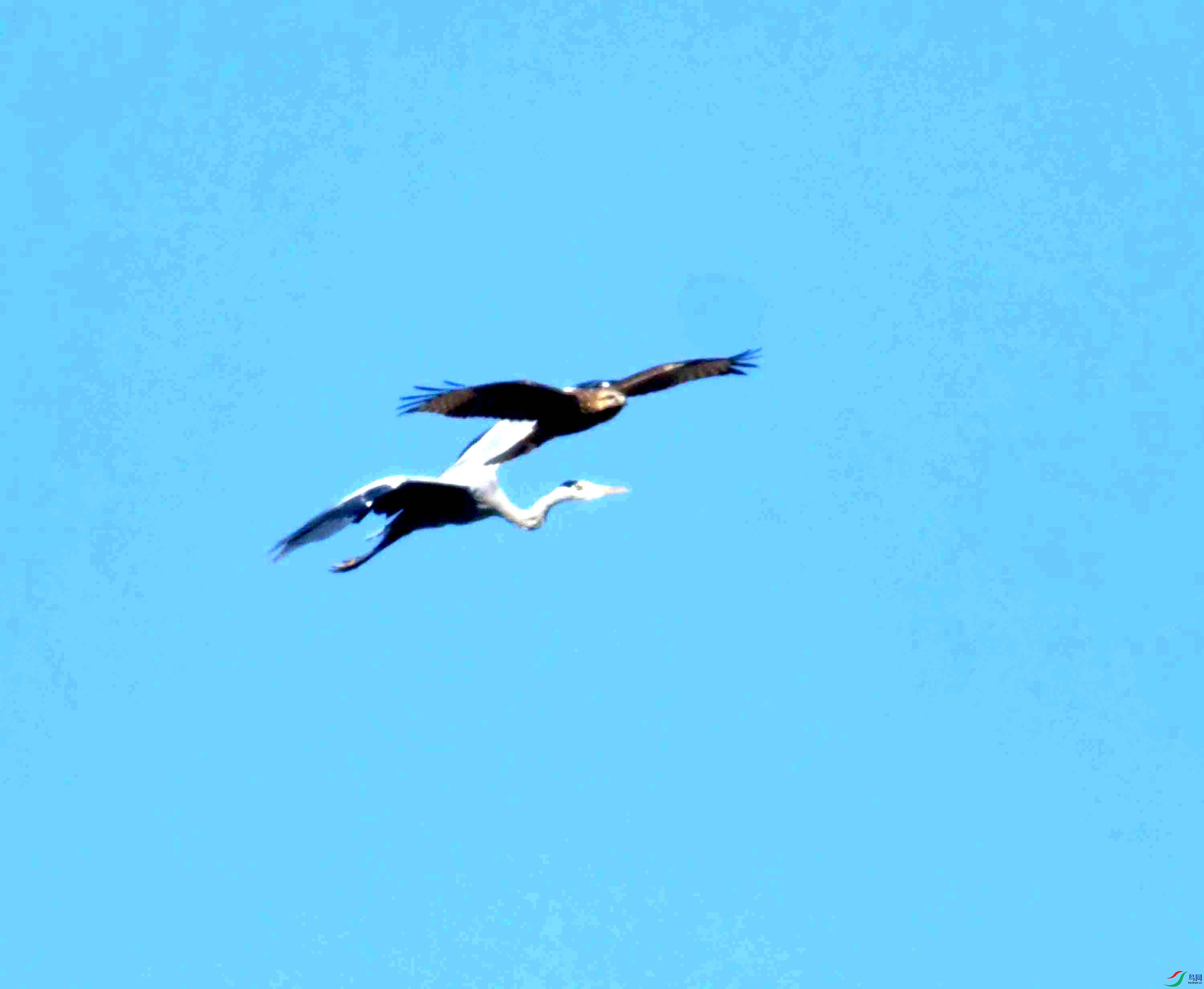 DSC_0744.JPG