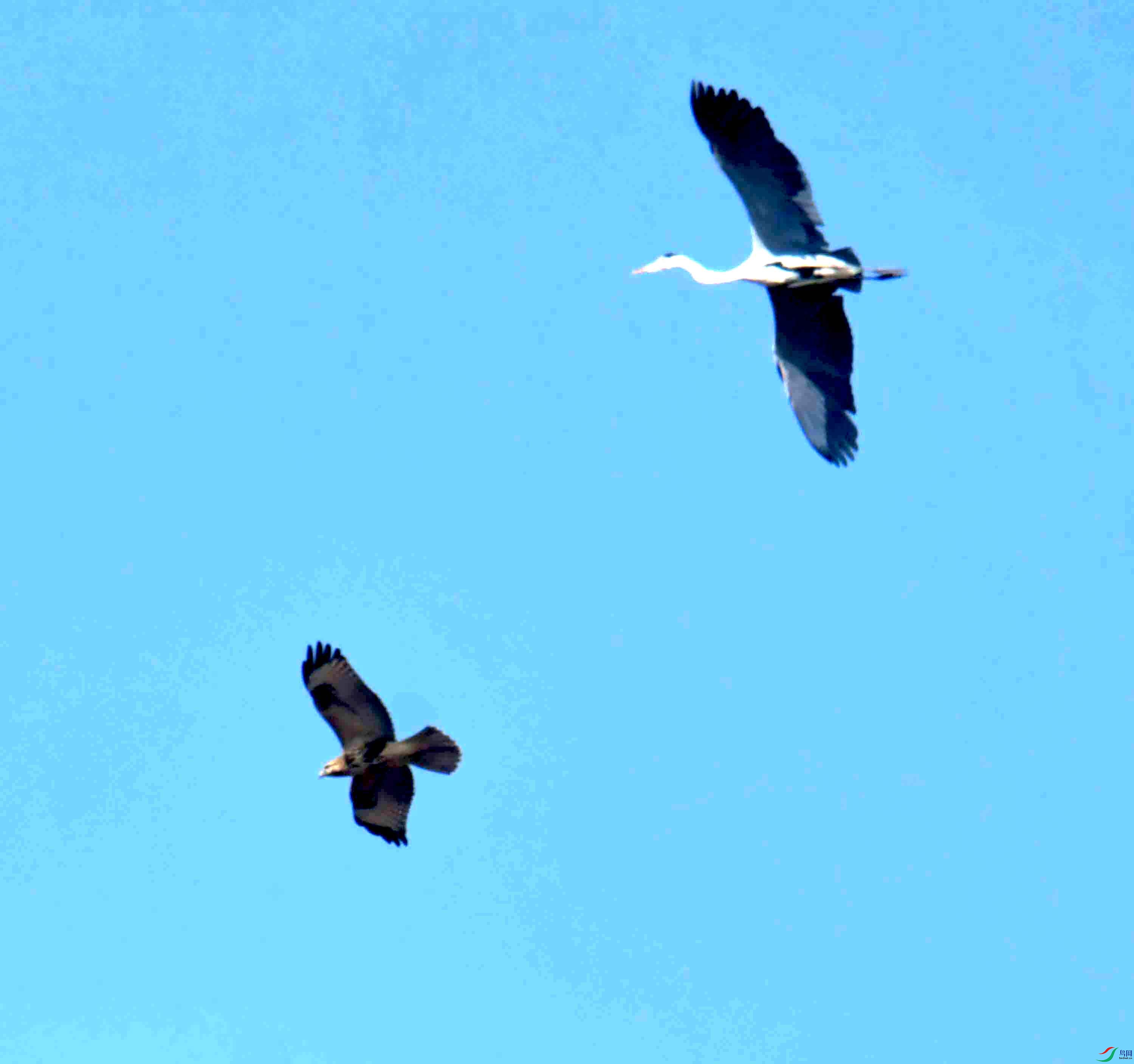 DSC_0740.JPG