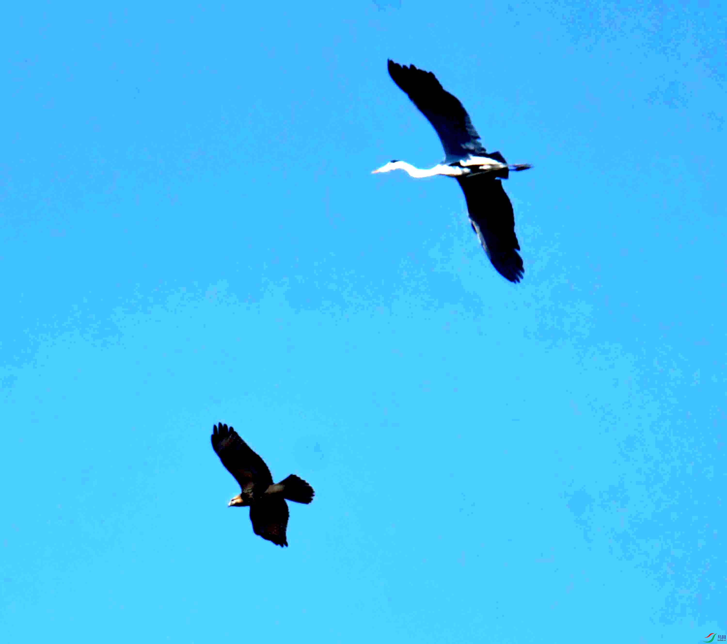 DSC_0741.JPG
