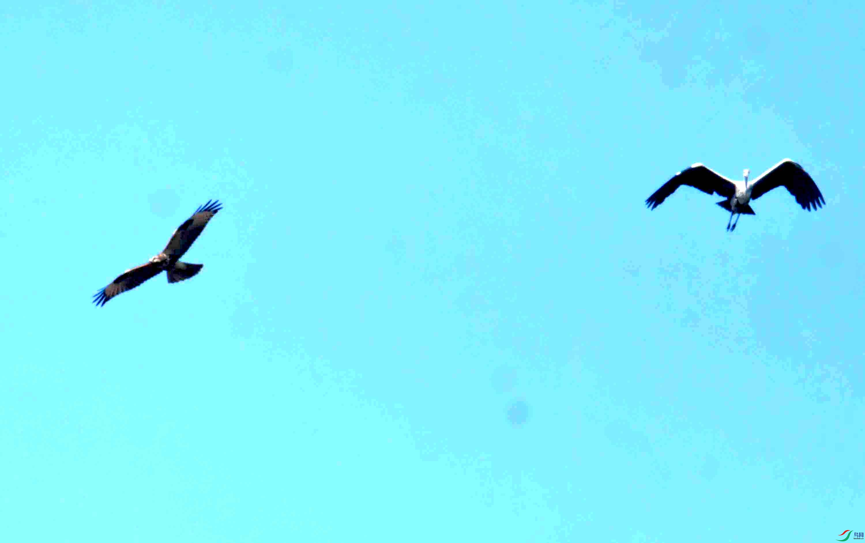 DSC_0755.JPG