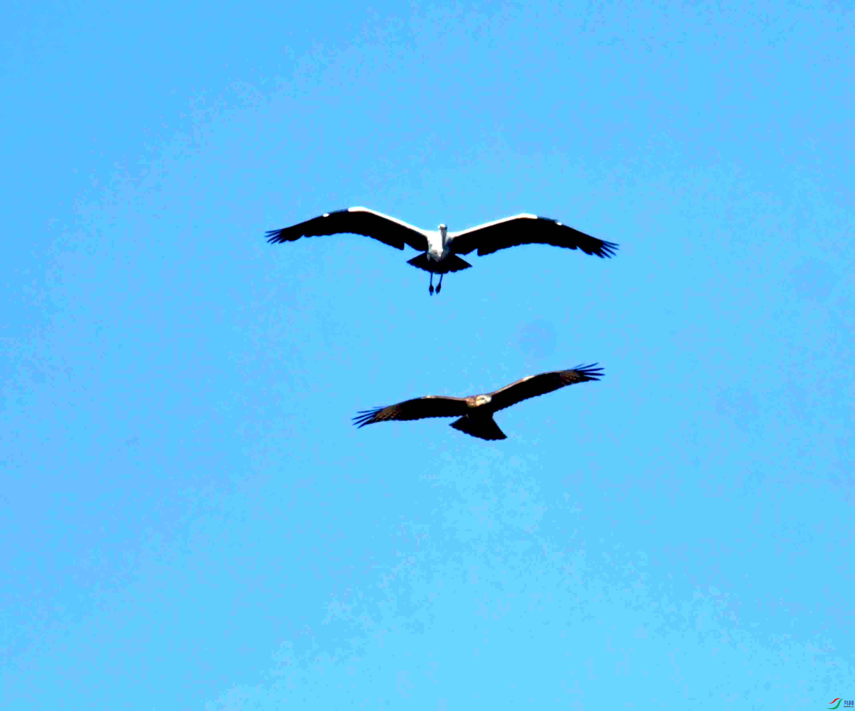 DSC_0750.JPG