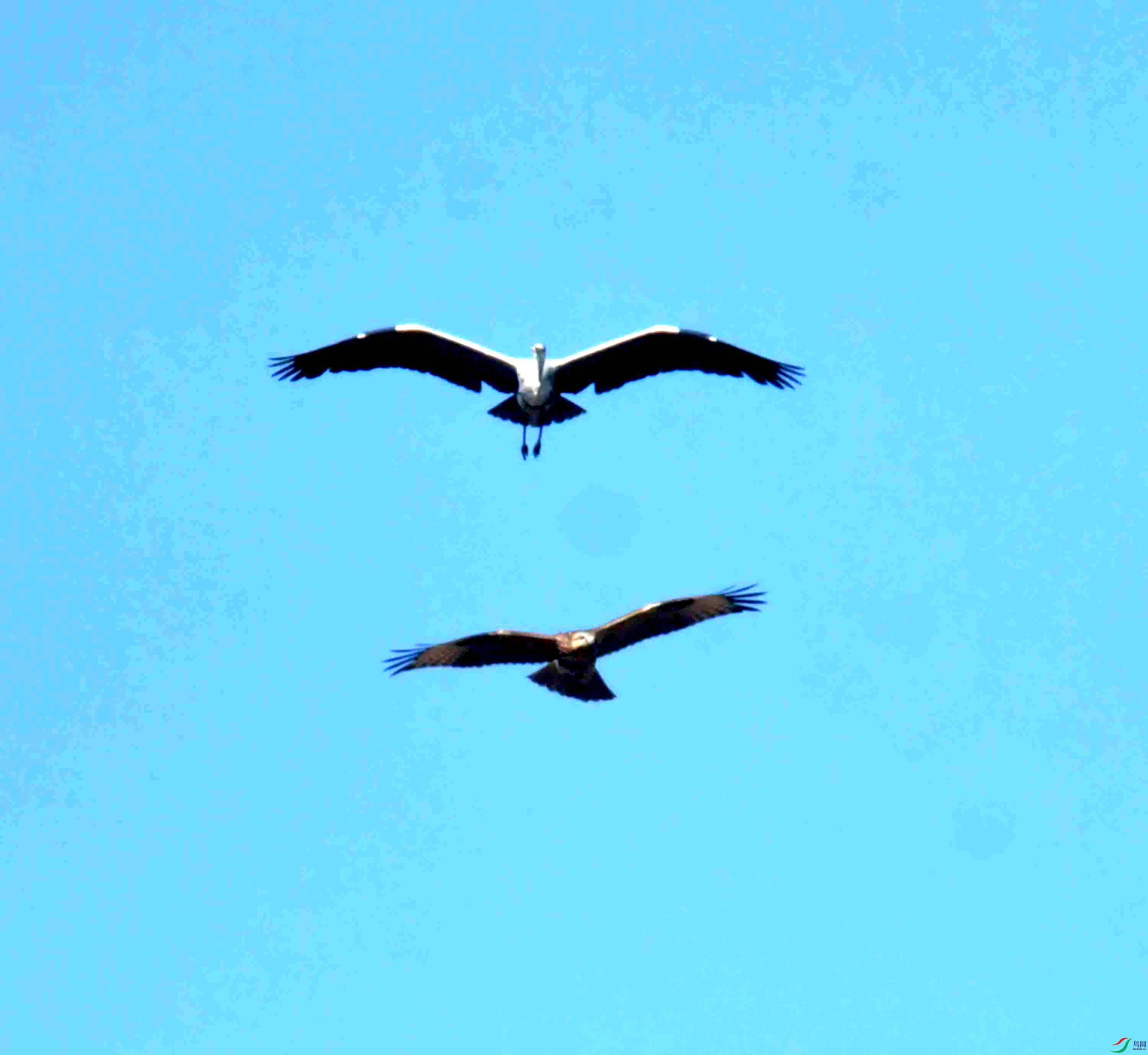 DSC_0749.JPG