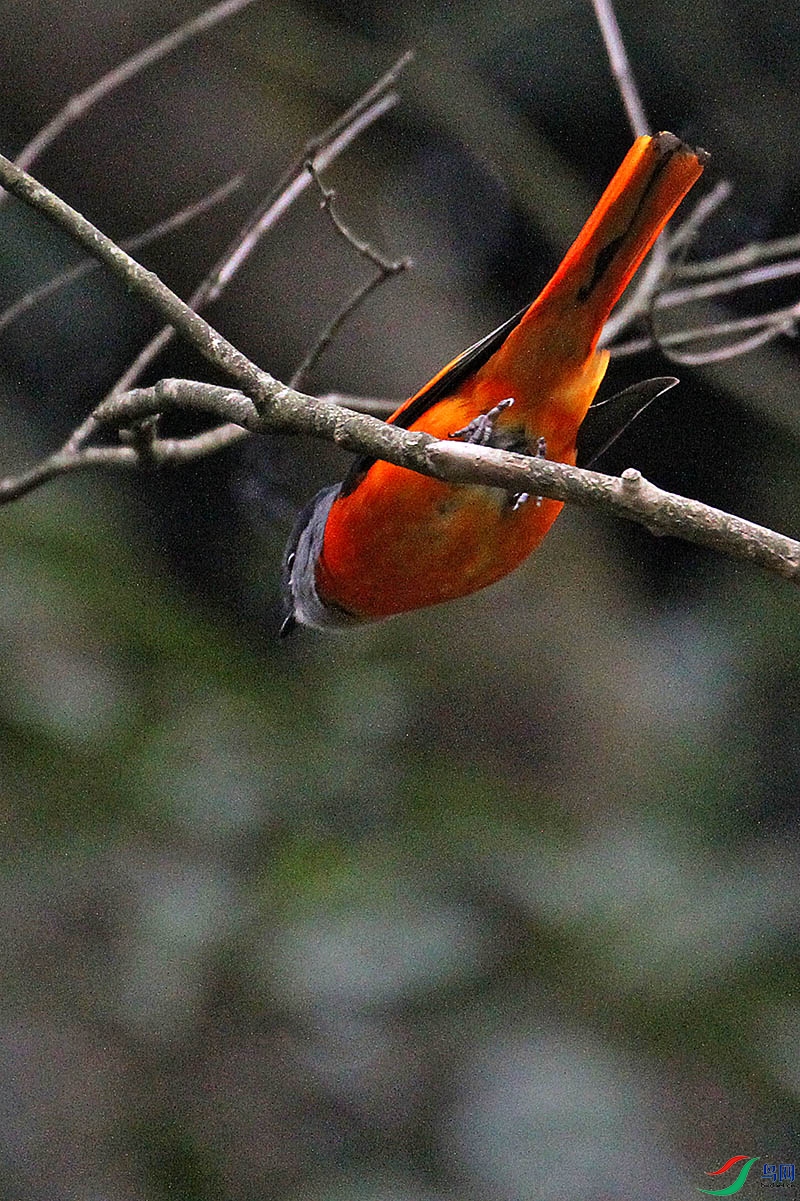 IMG_2863.jpg