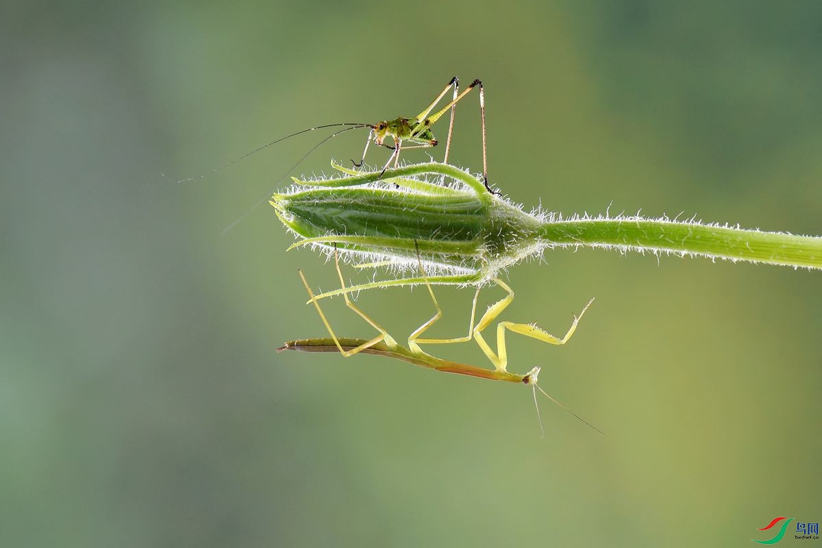 DSC_7951_����.jpg