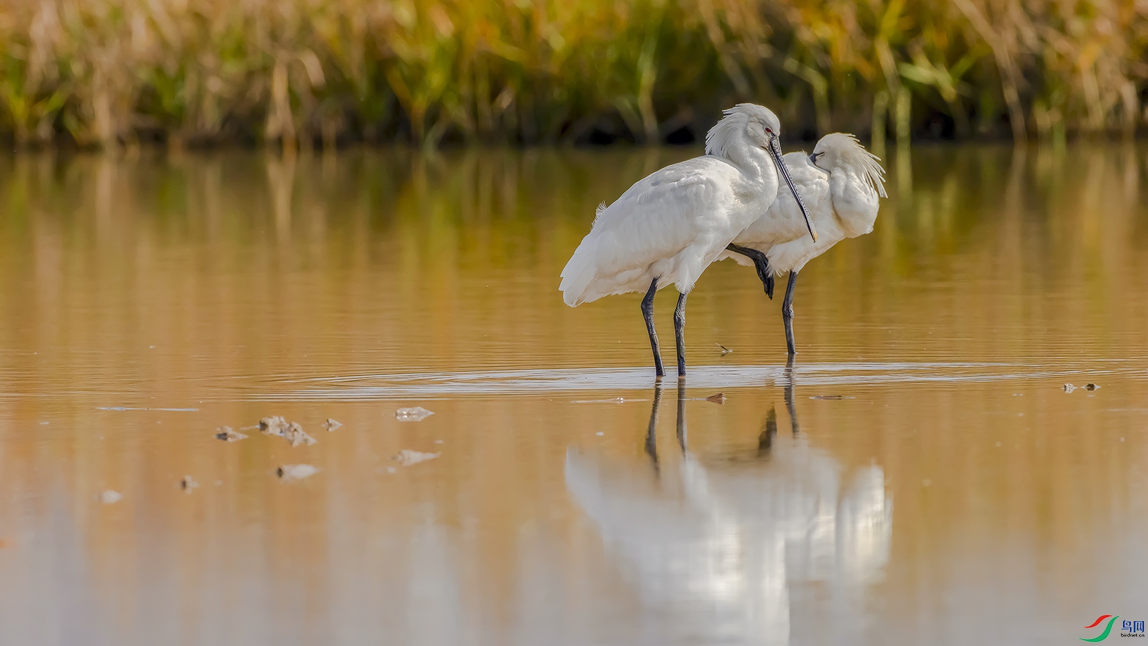 ���е�����