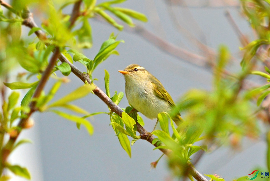 DSC_0088.jpg