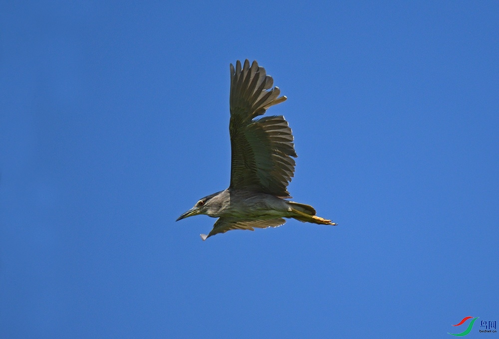 DSC_0161.jpg