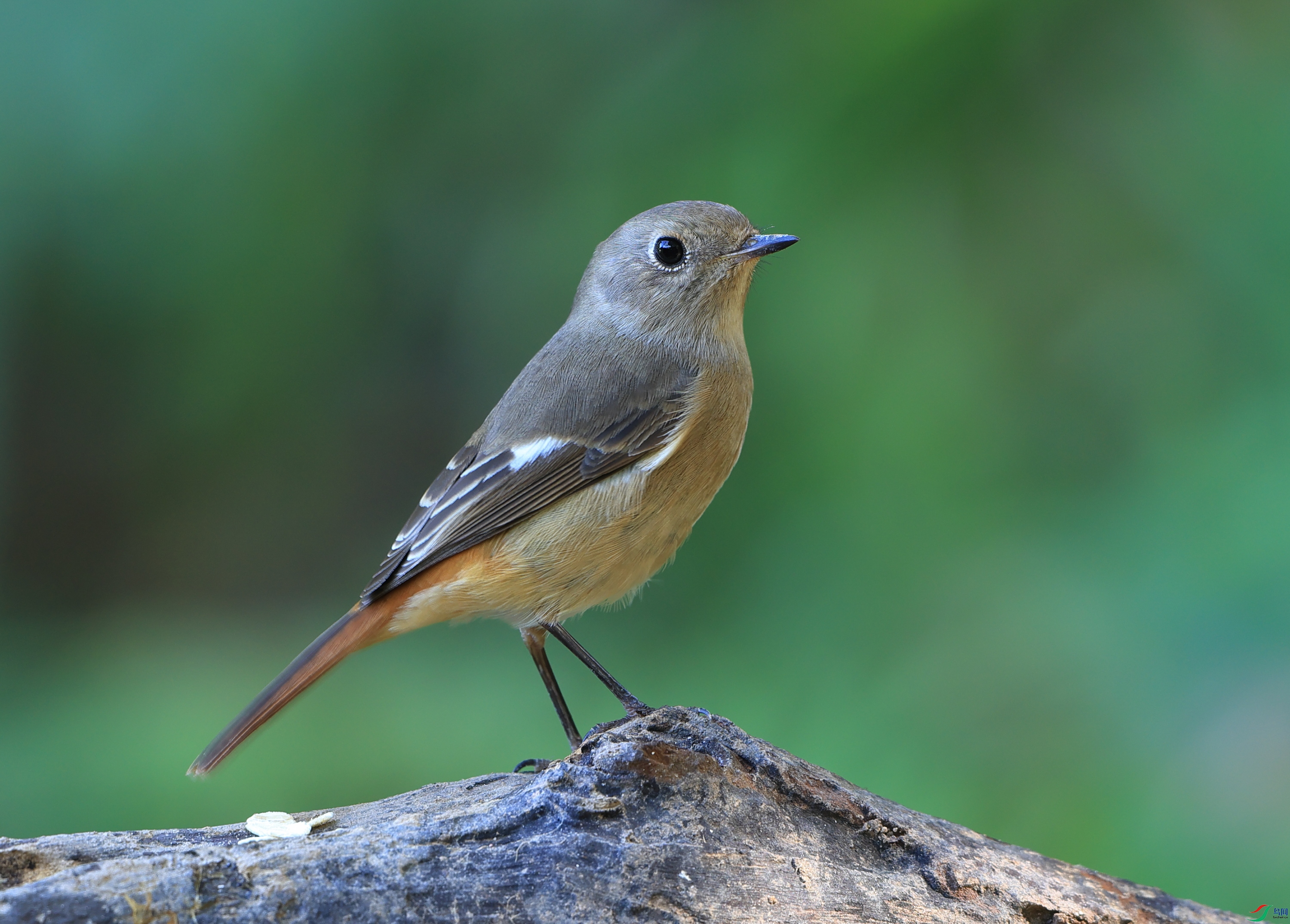 011A0837 ����11.55.01.JPG