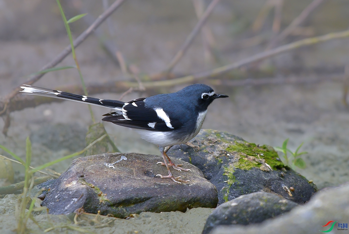 DSC_8825.JPG