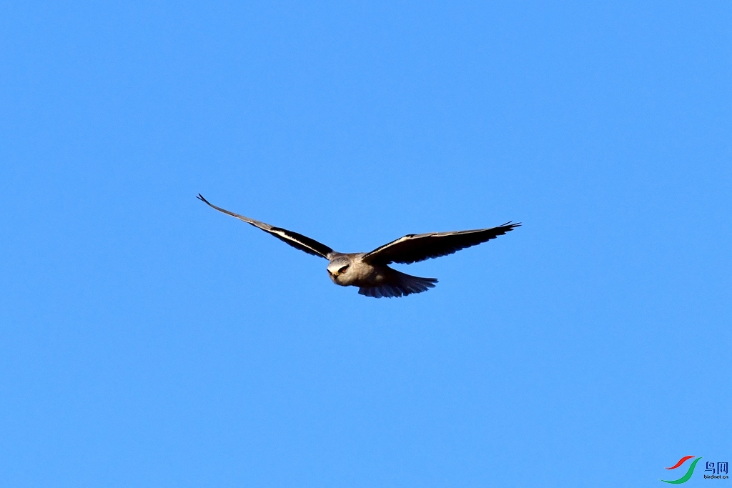 DSC_0684.jpg