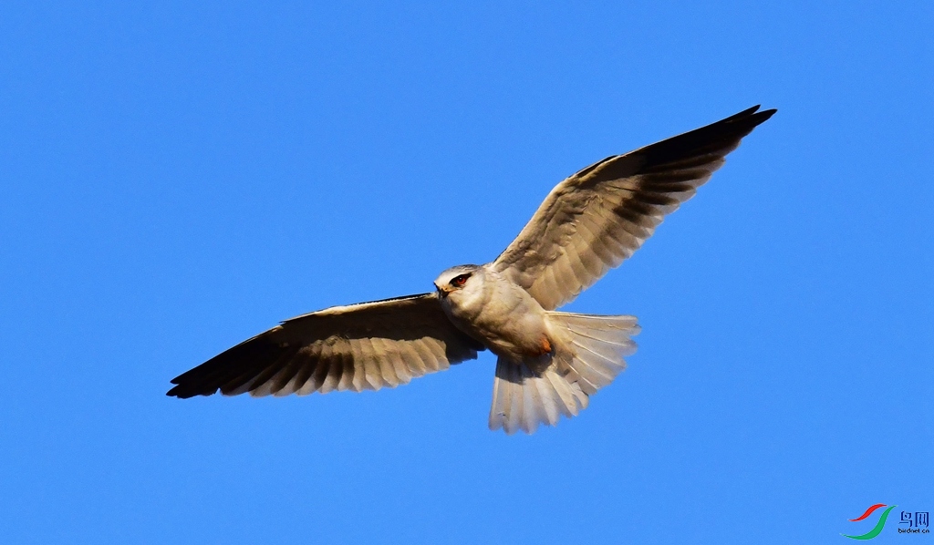 DSC_0689.jpg