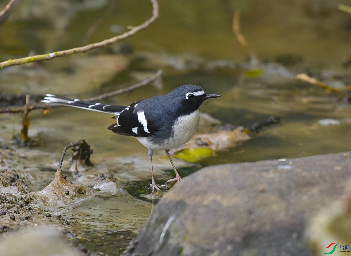 DSC_8831.JPG