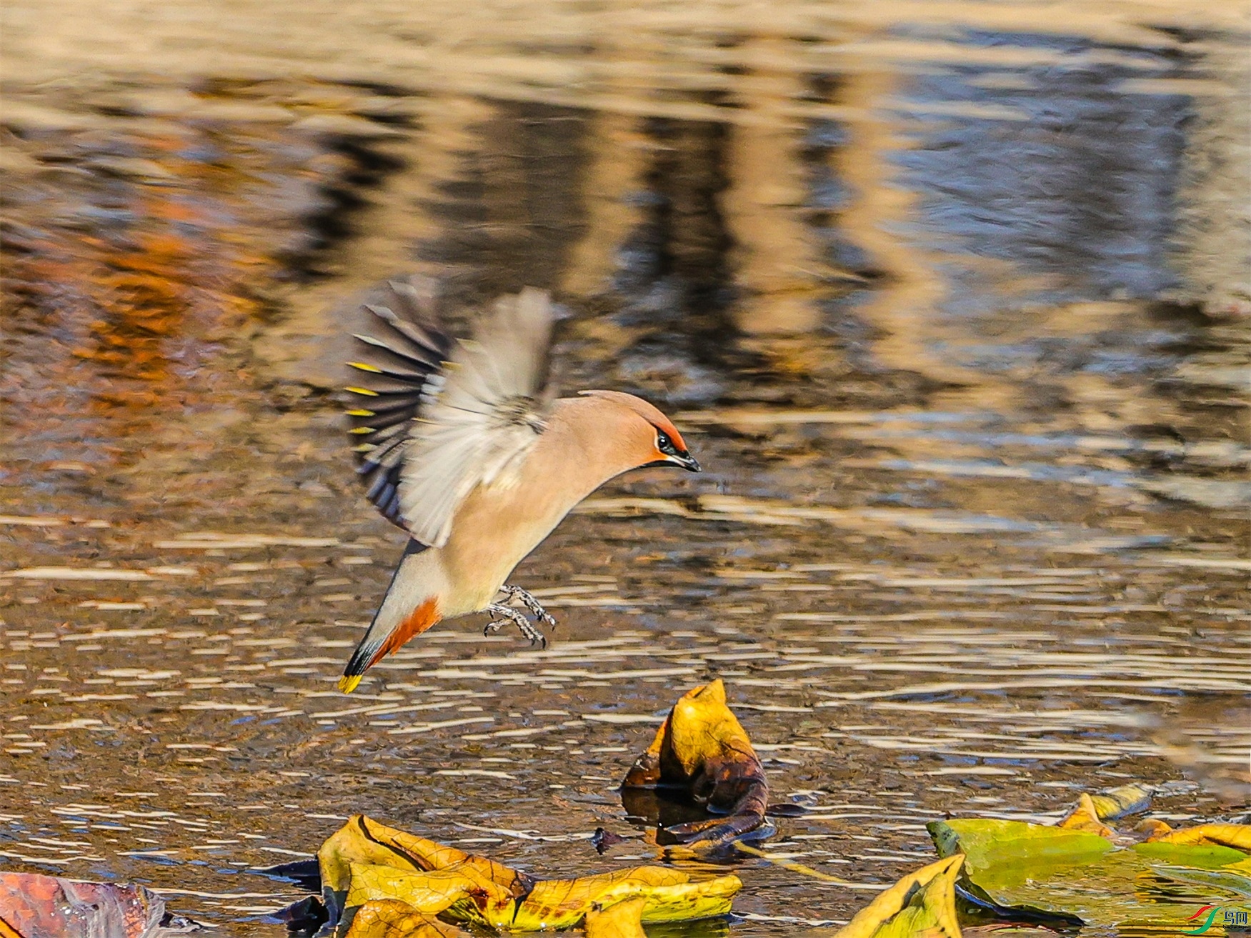 1K3A3777 ����1.jpg