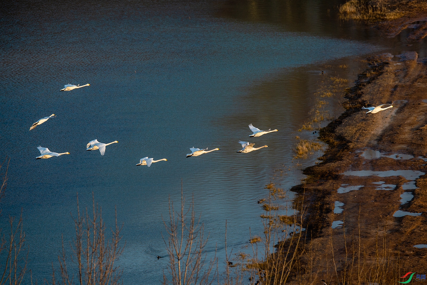 _DSC6096.jpg