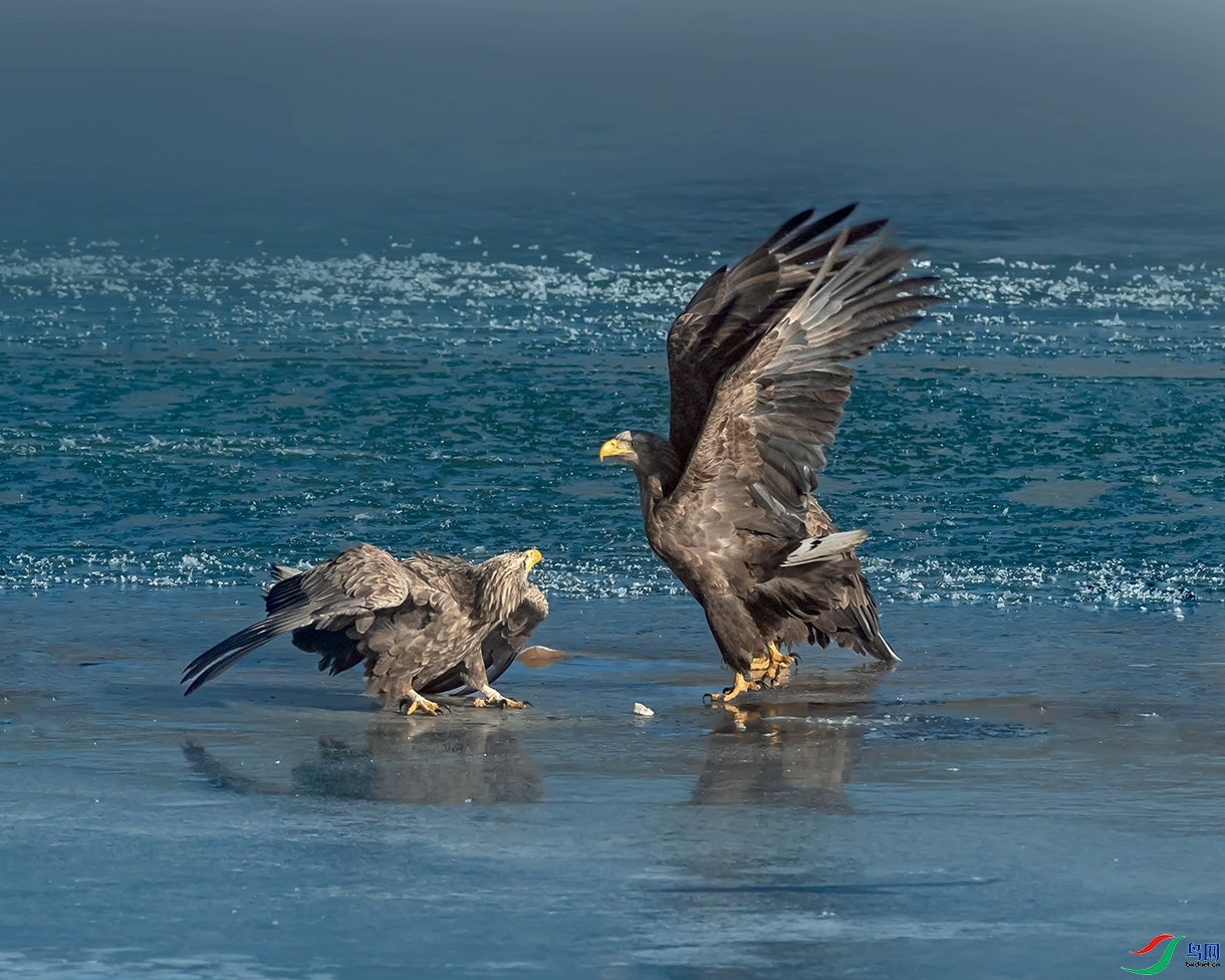 ��β����