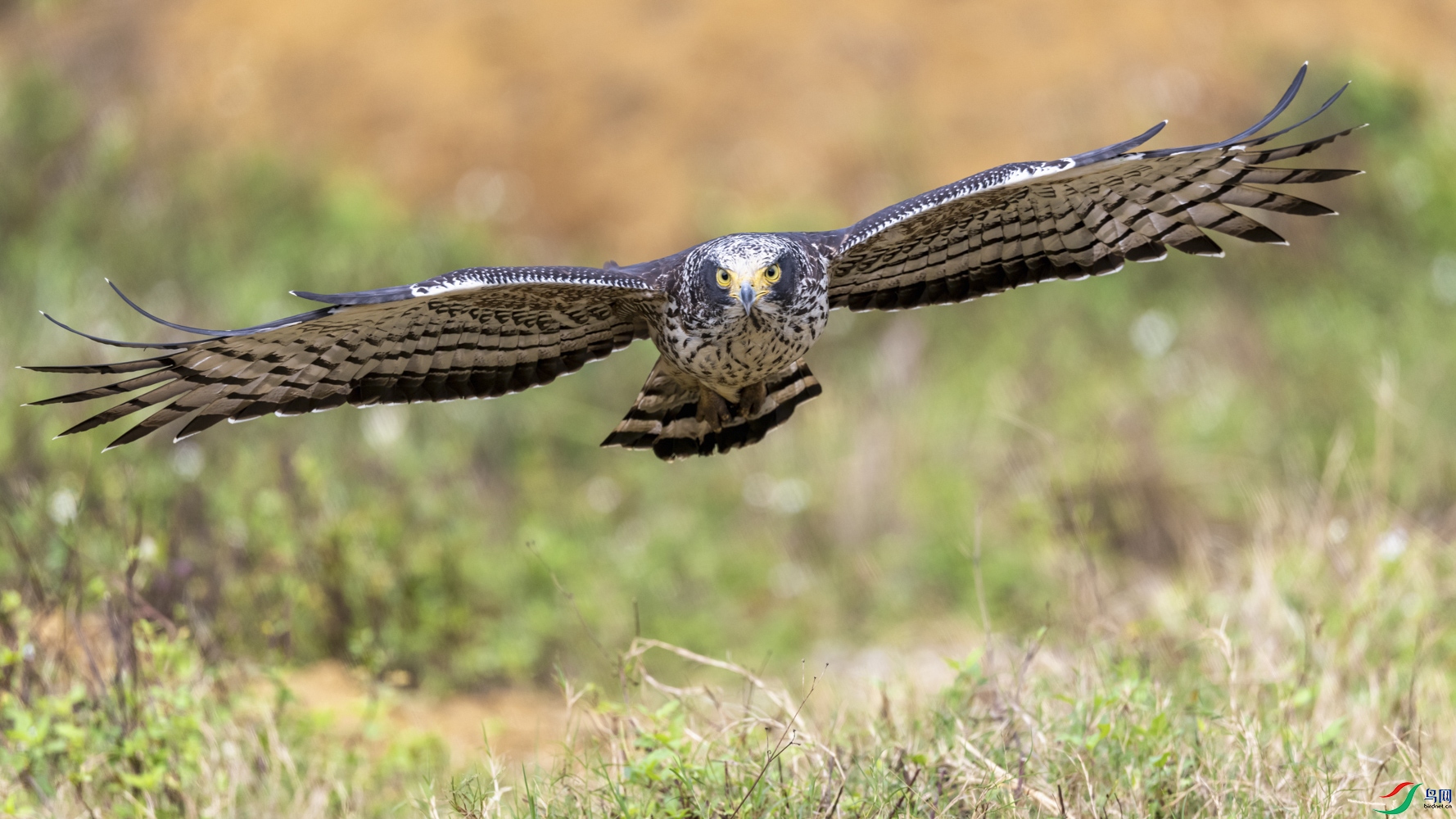 DSC_6655_1.jpg